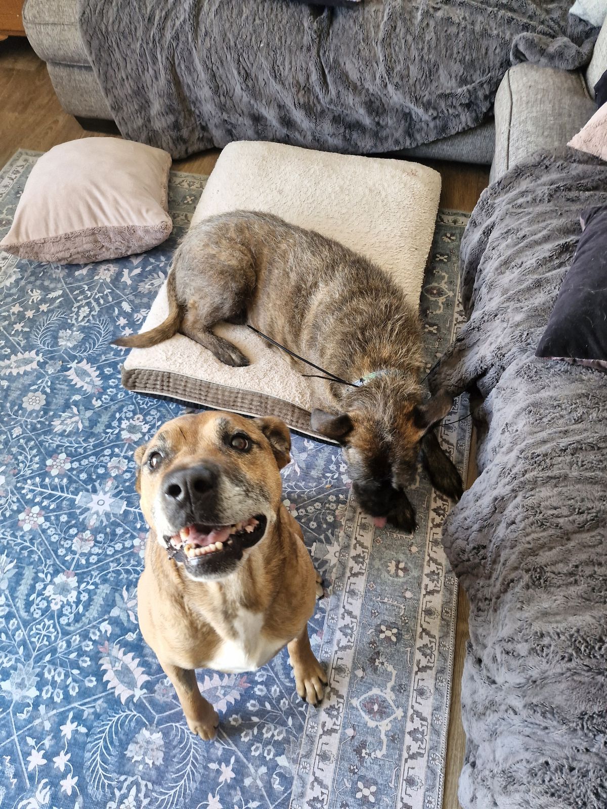 Gallery image: Steve