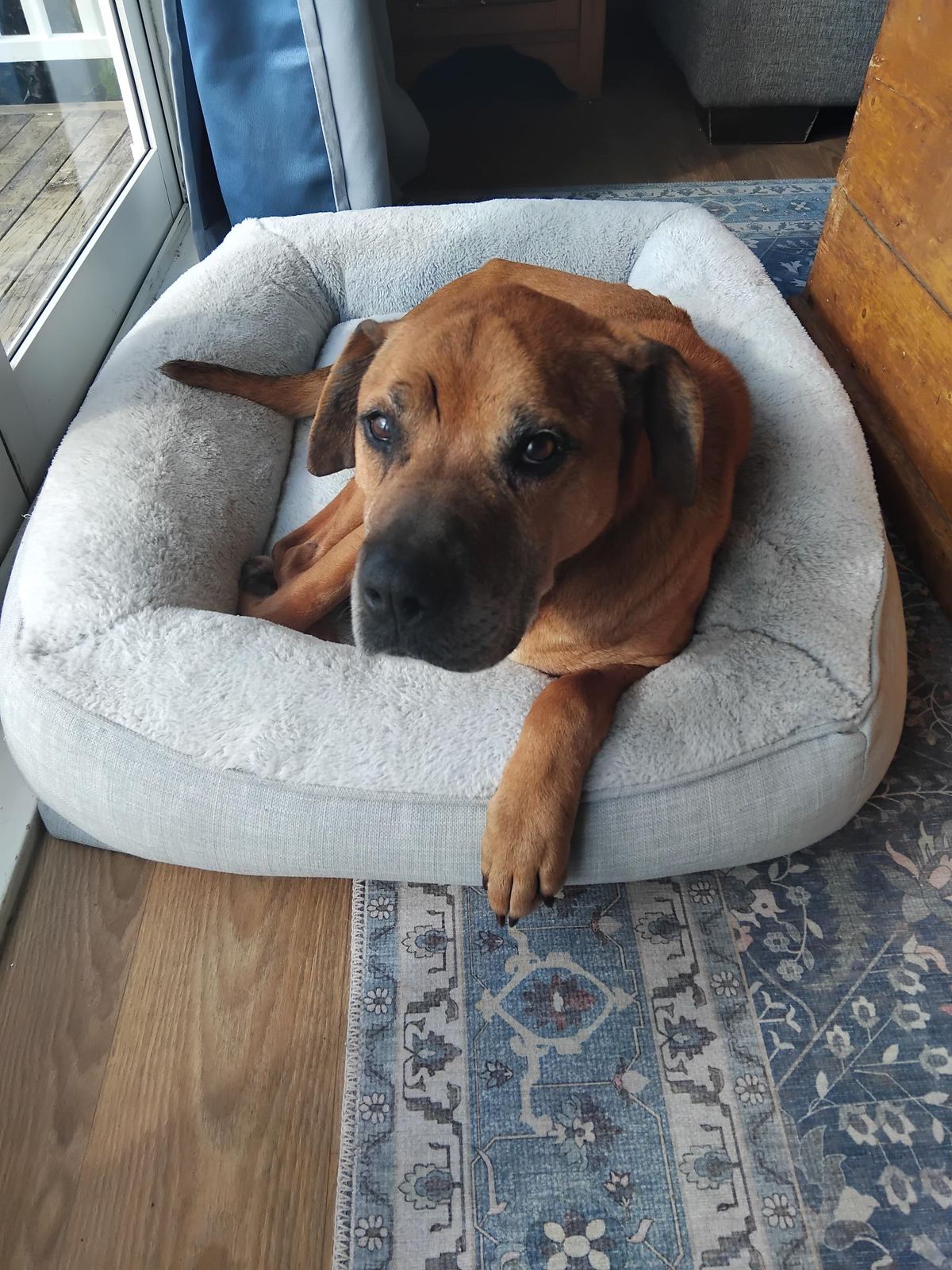 Gallery image: Steve