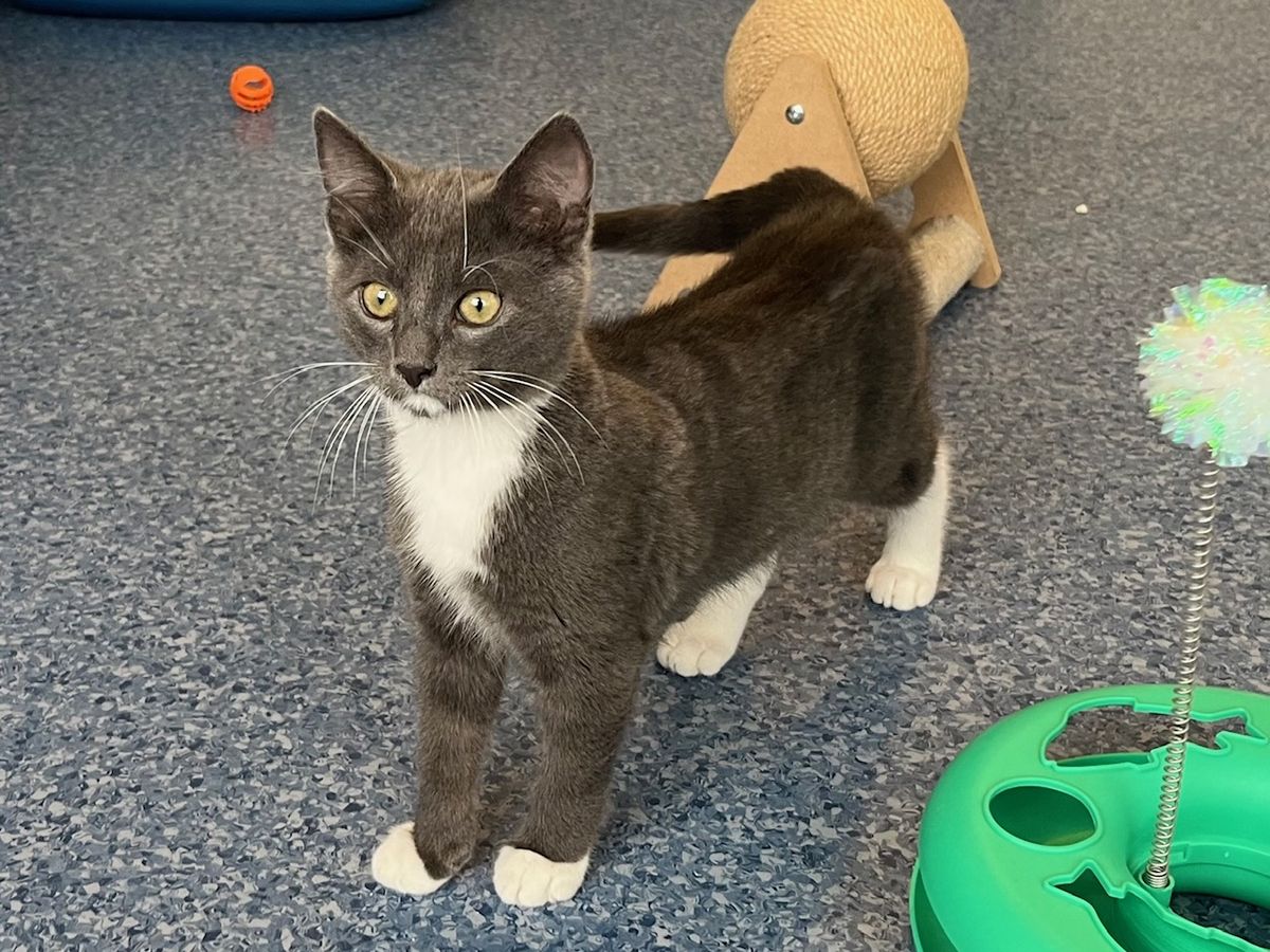 Gallery image: Elwood