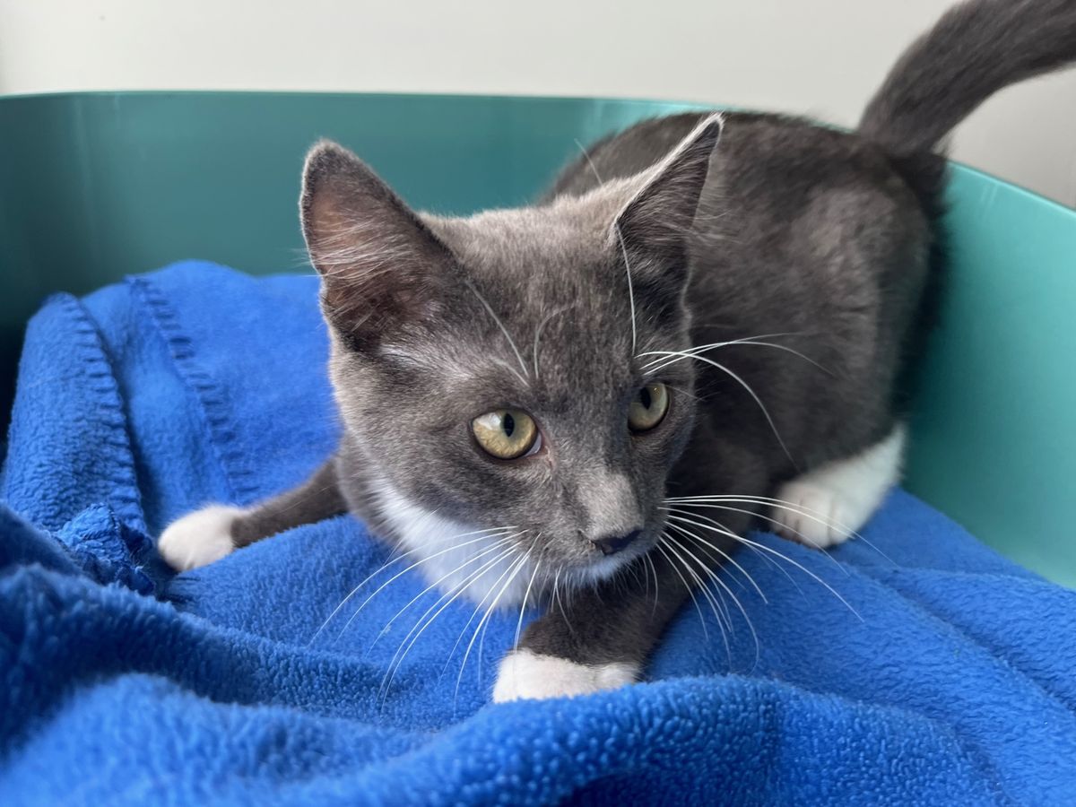 Gallery image: Elwood