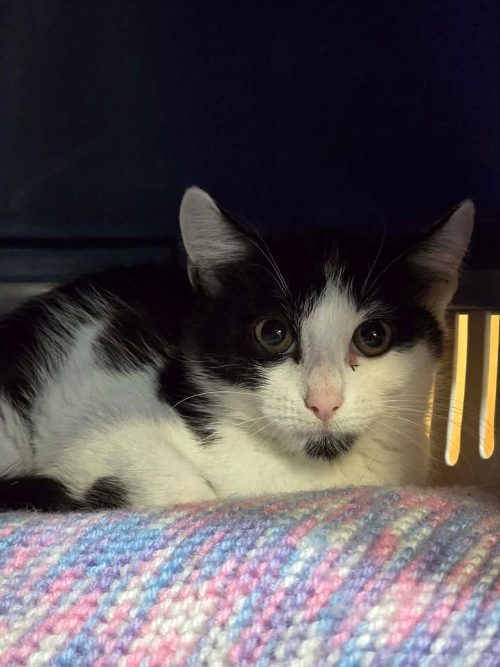 Gallery image: Marie