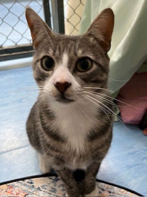 Gallery image: Mikel