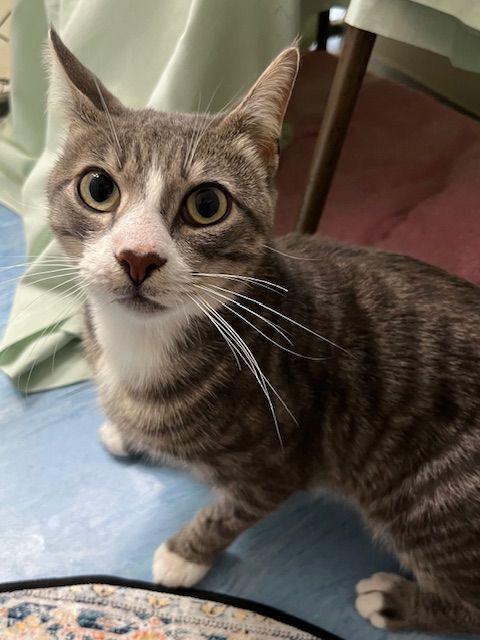 Gallery image: Mikel