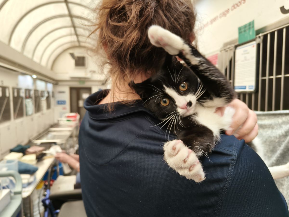 Gallery image: Monopoly