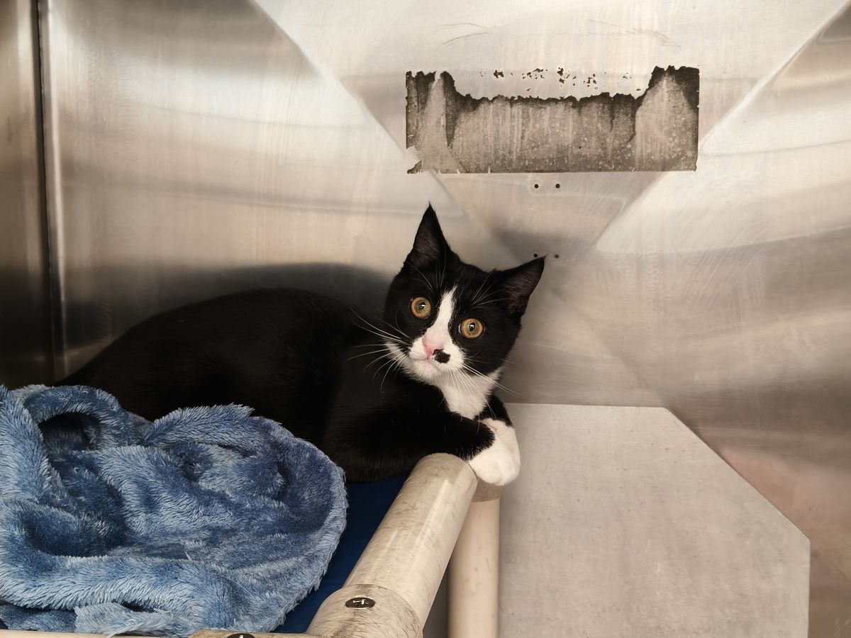 Gallery image: Monopoly