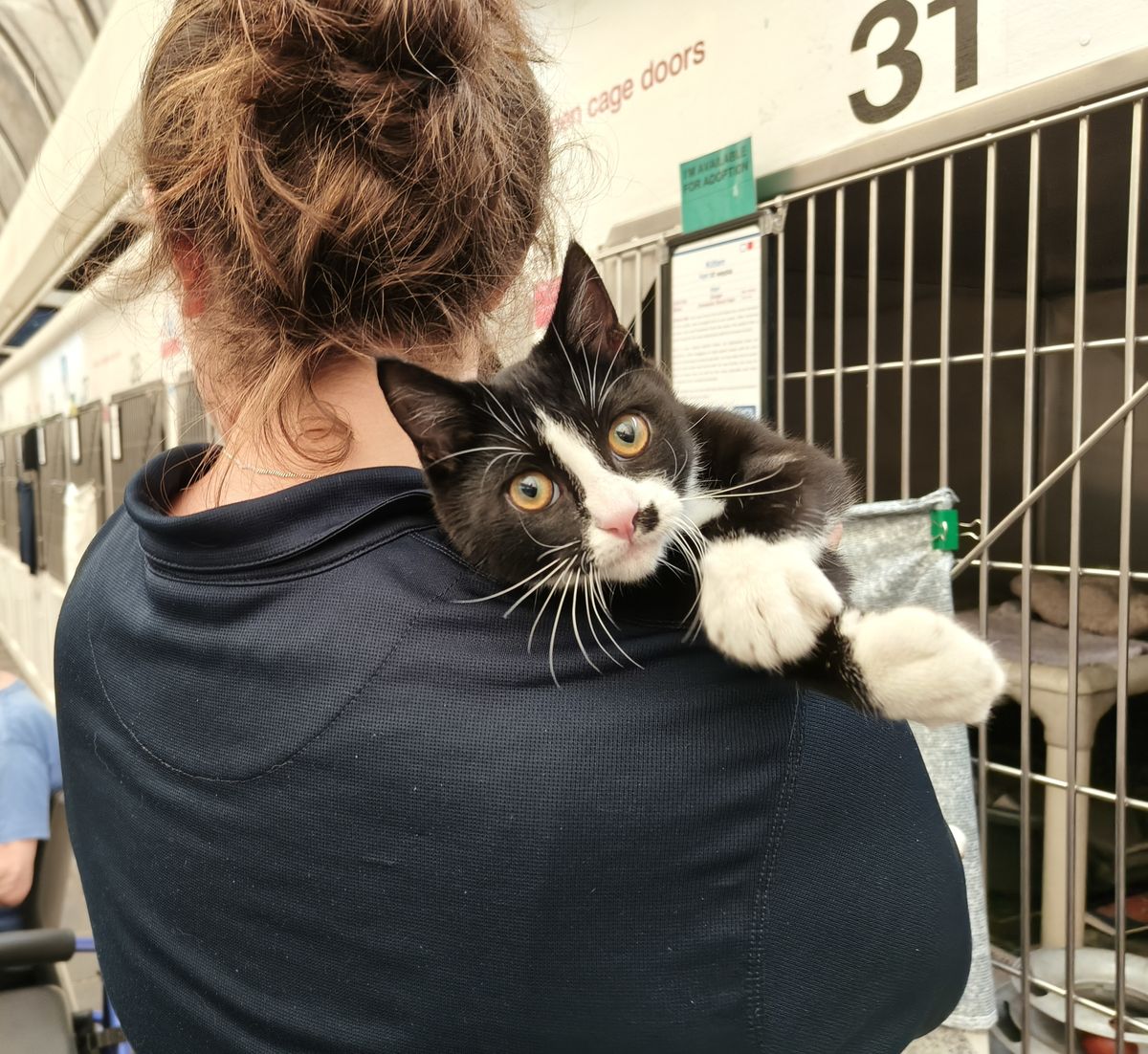 Gallery image: Monopoly