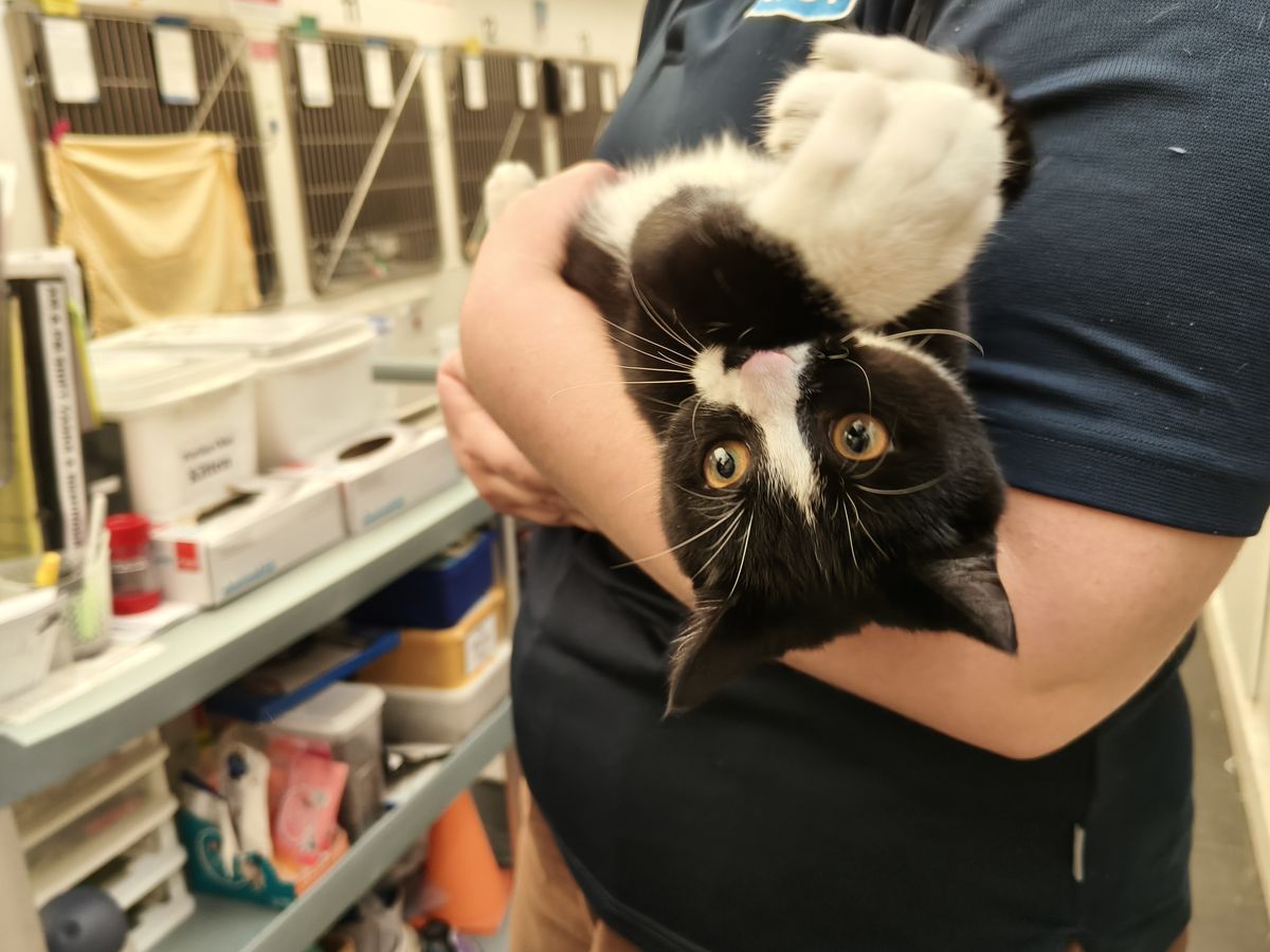 Gallery image: Monopoly