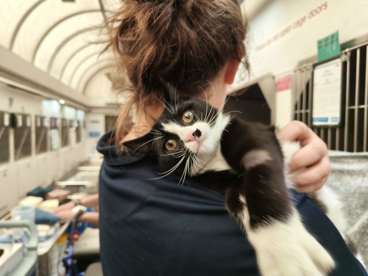 Gallery image: Monopoly