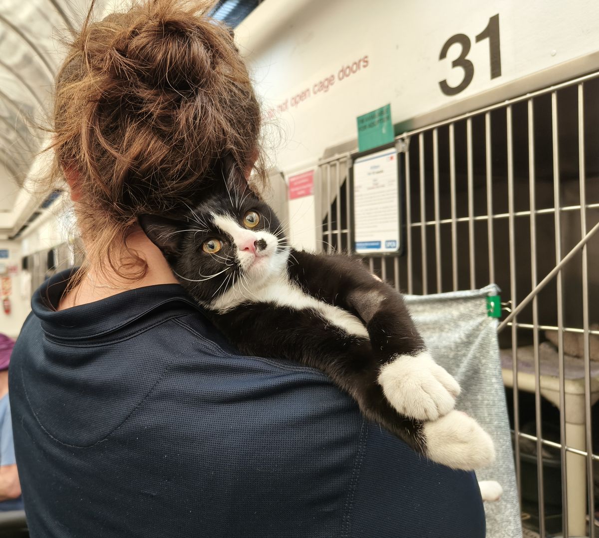 Gallery image: Monopoly