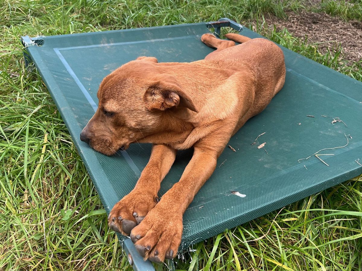 Gallery image: Lochie