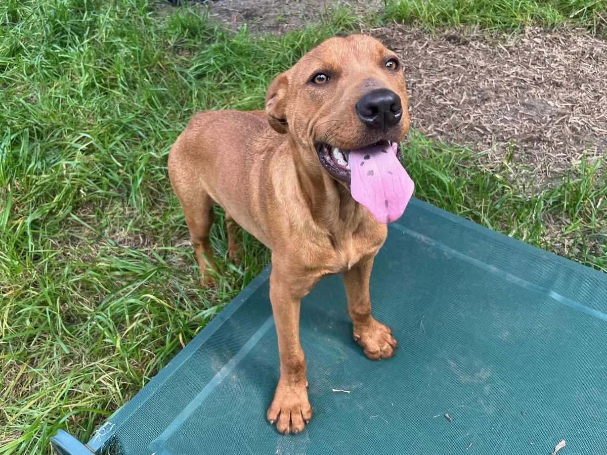 Gallery image: Lochie