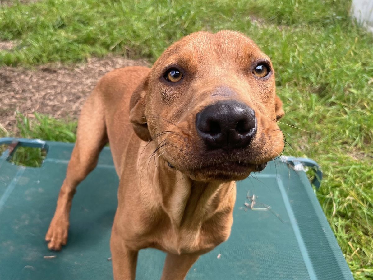 Gallery image: Lochie