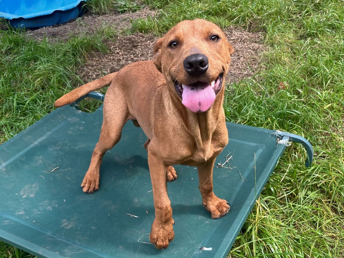 Gallery image: Lochie