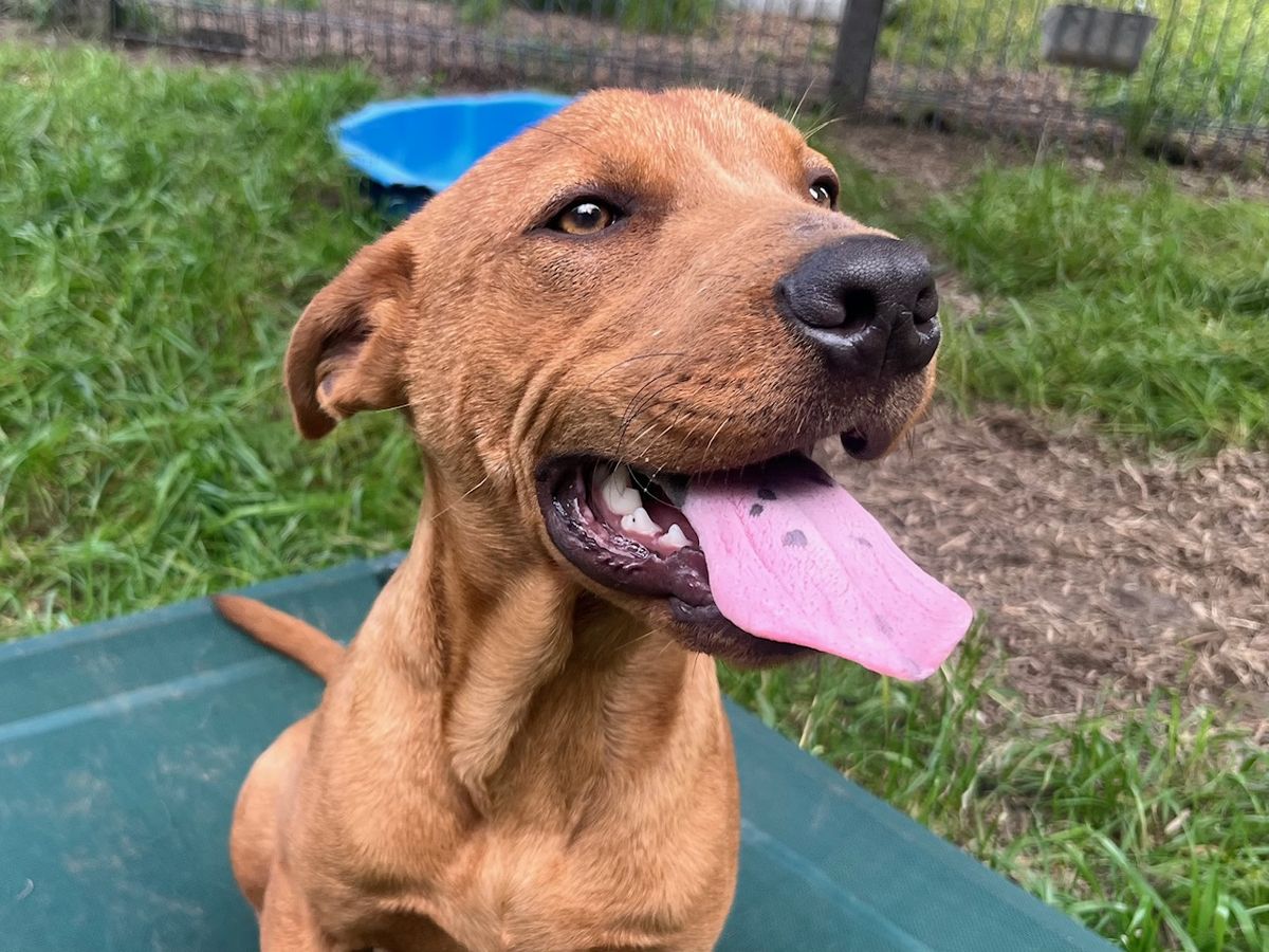 Gallery image: Lochie