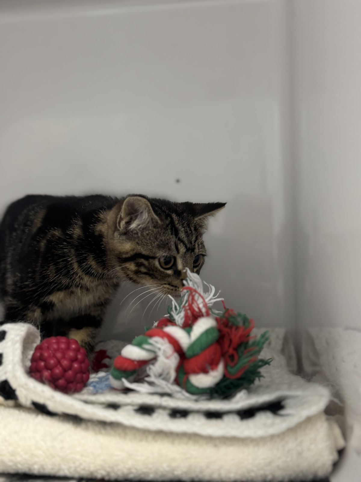 Gallery image: Samsung