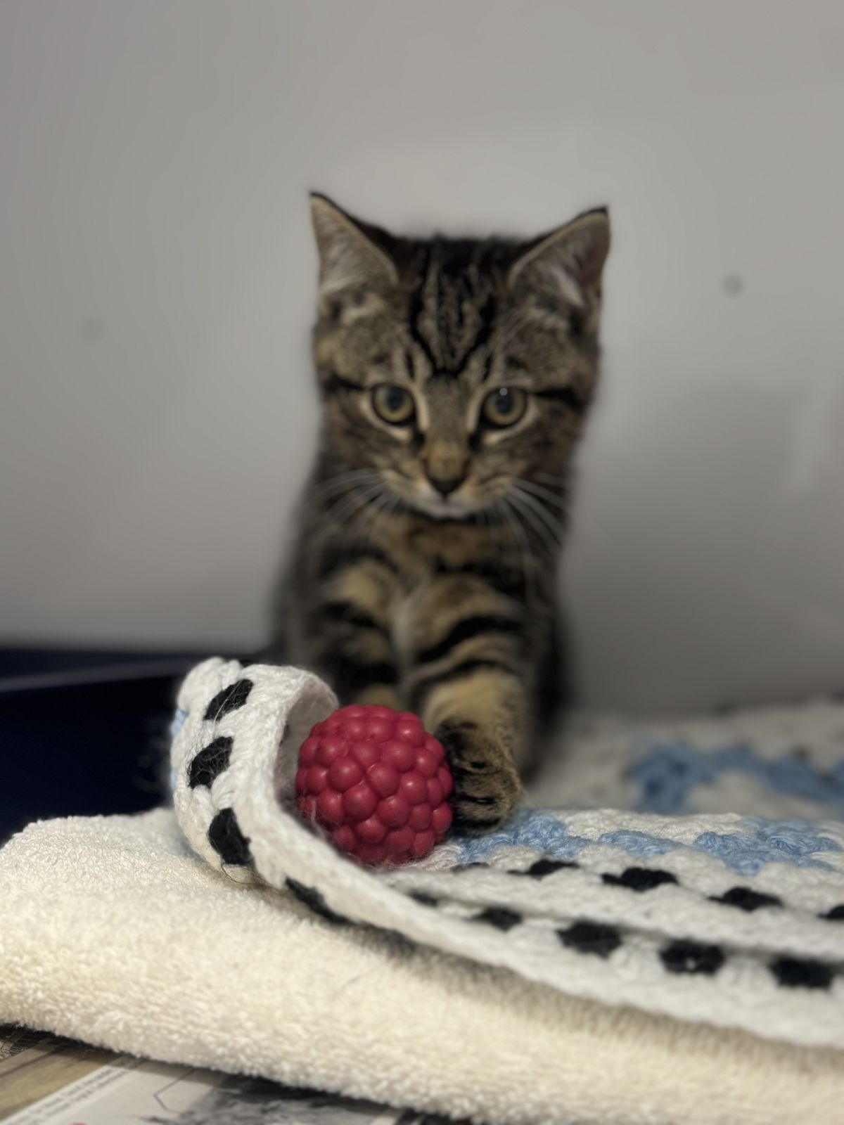 Gallery image: Samsung