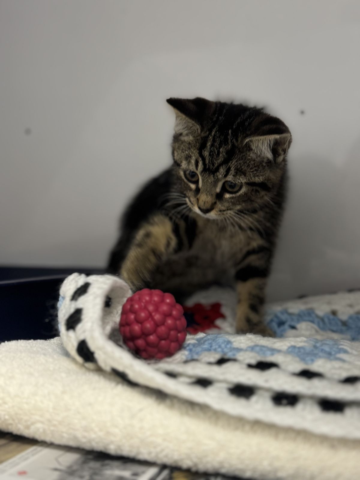 Gallery image: Samsung