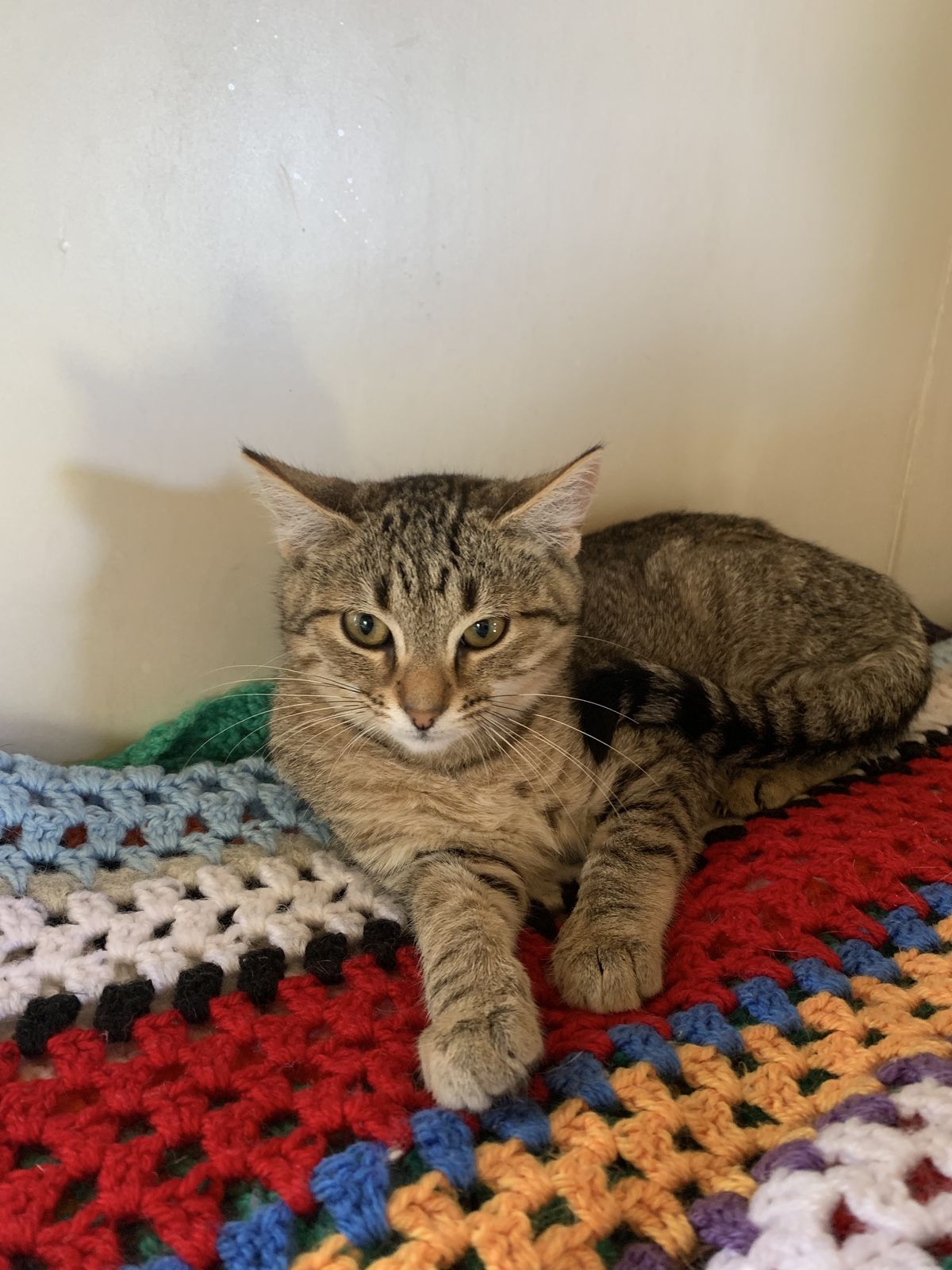 Gallery image: Yippee