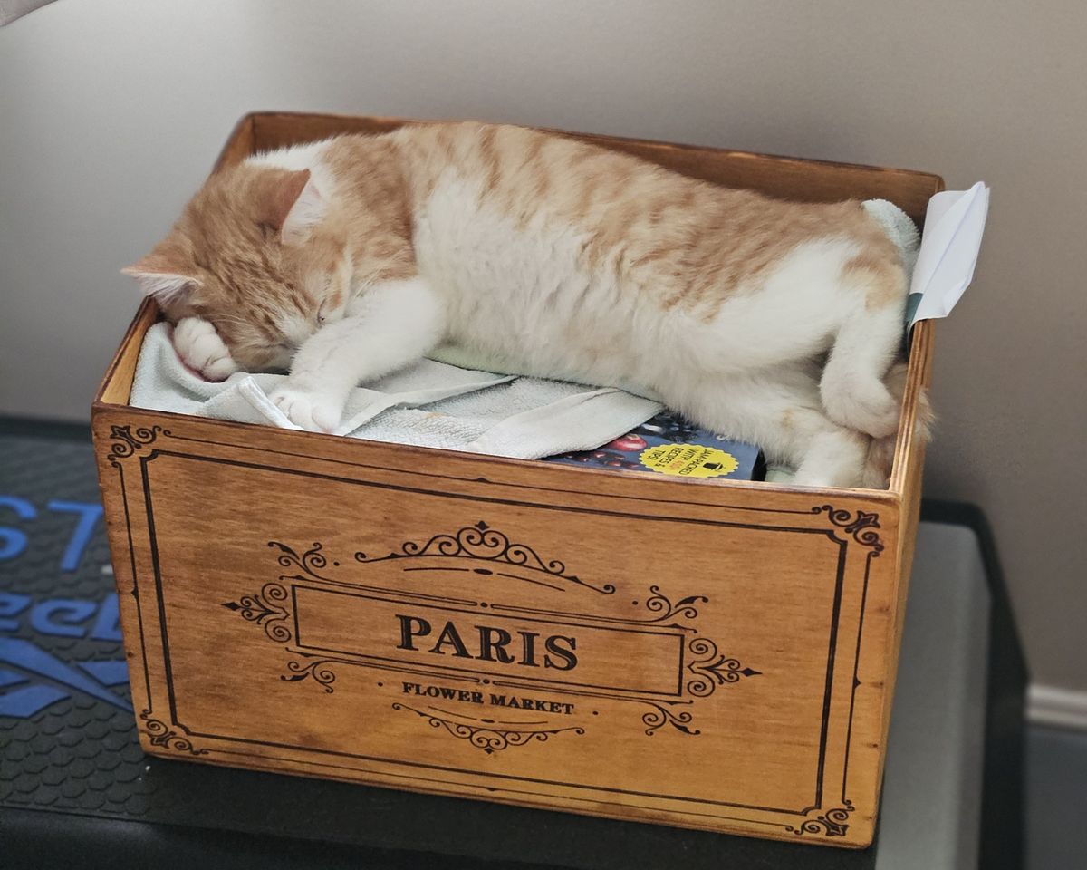 Gallery image: Rodger 