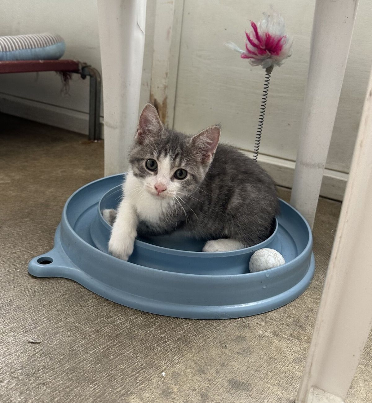 Gallery image: Tucker