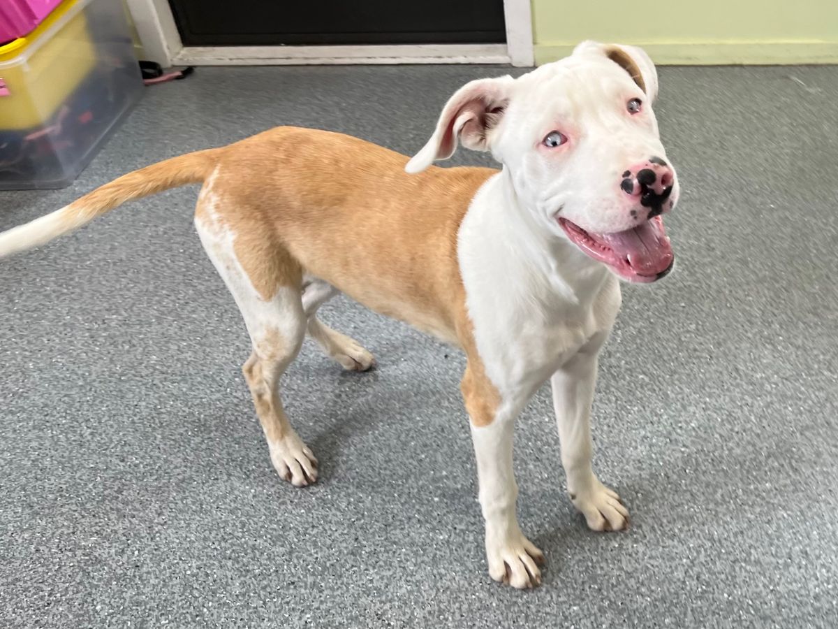 Gallery image: Albie