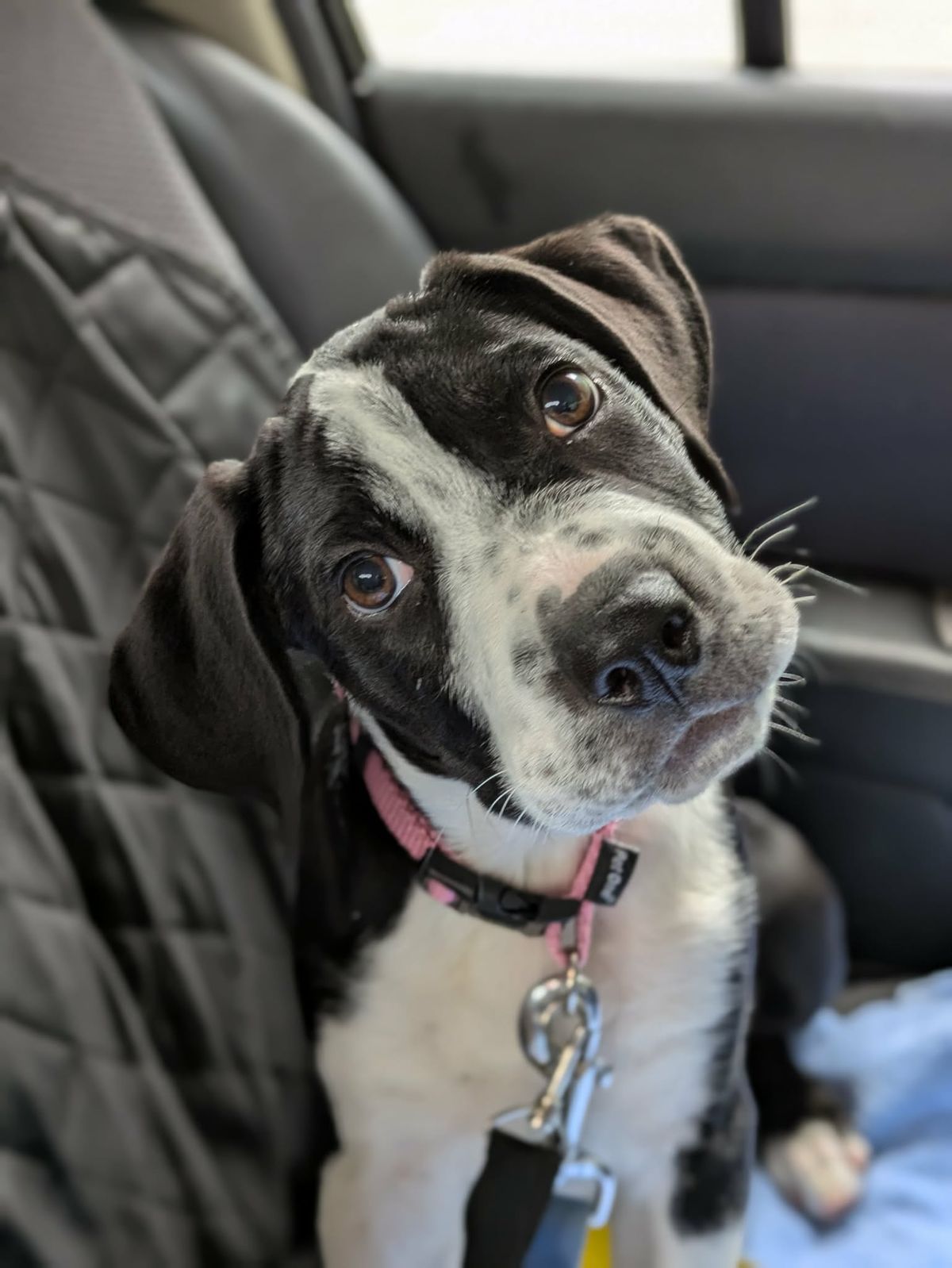 Gallery image: Jenga