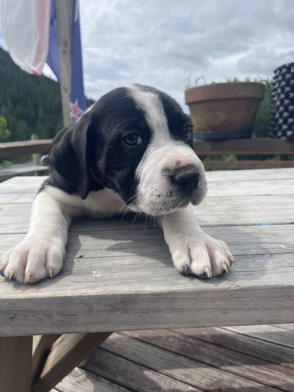 Gallery image: Jenga