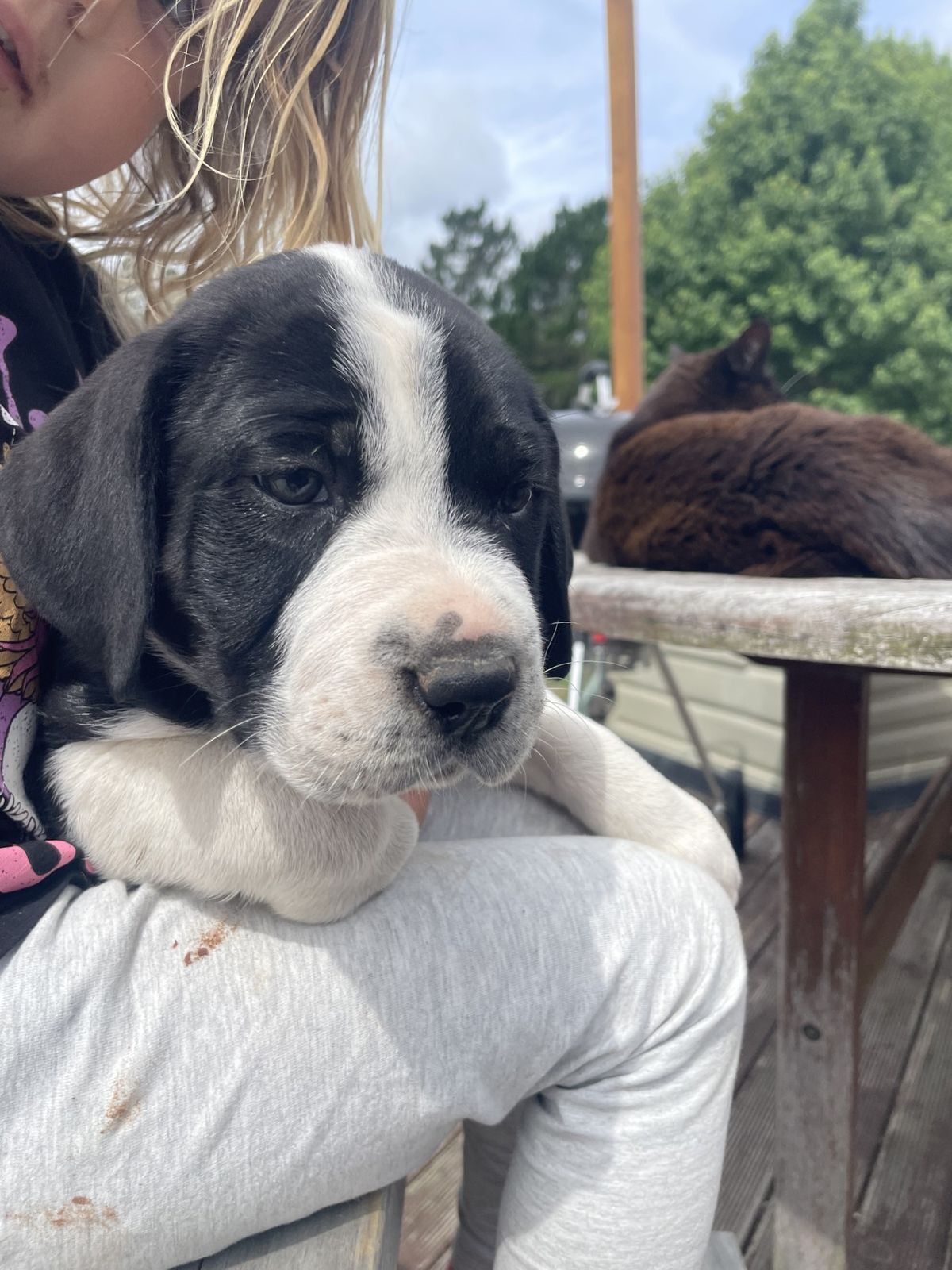 Gallery image: Jenga