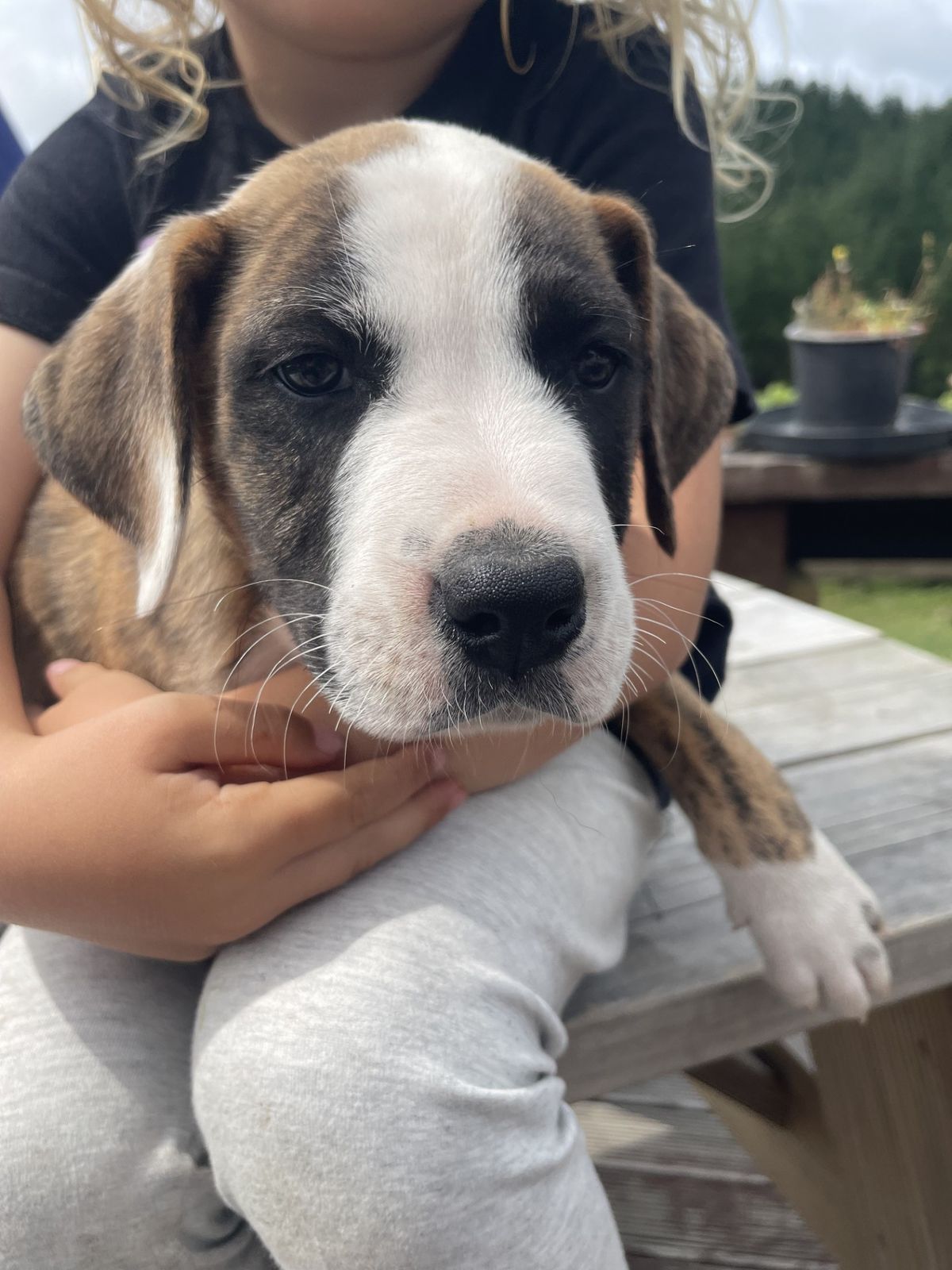 Gallery image: Pacman