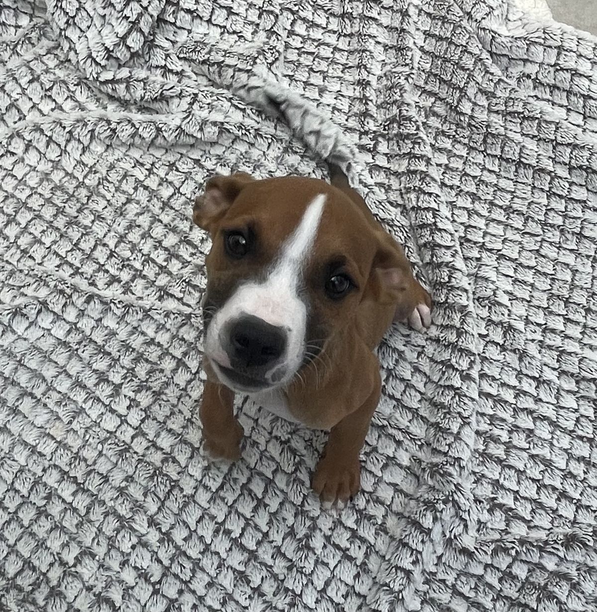 Gallery image: Galileo