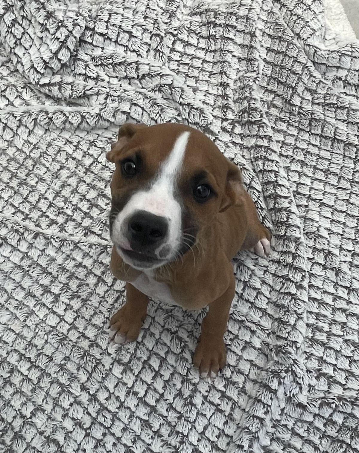 Gallery image: Galileo