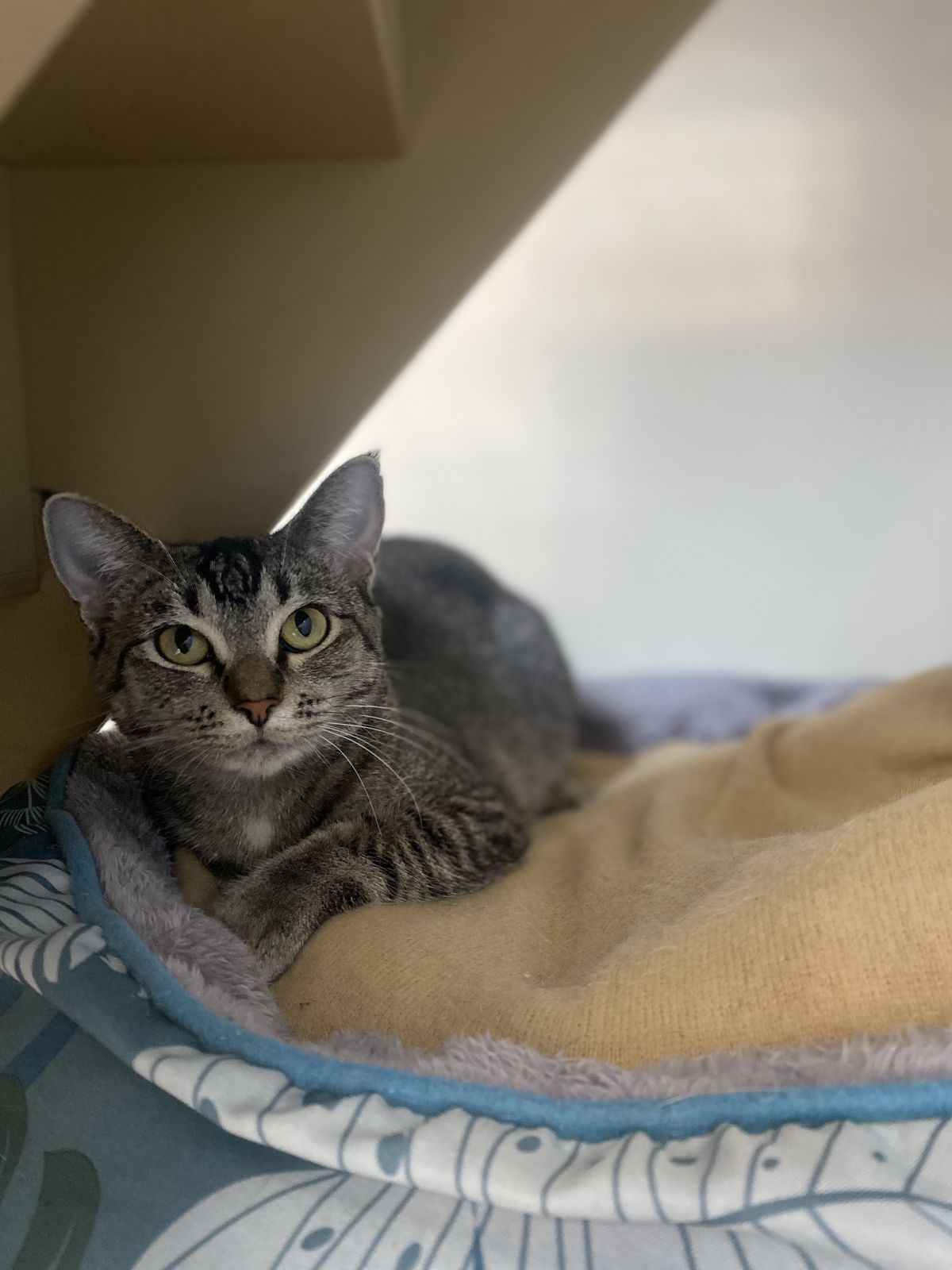 Gallery image: Marissa