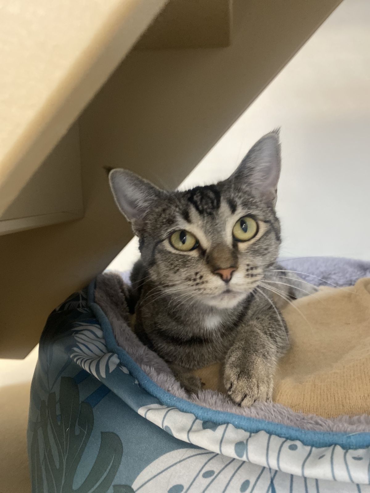 Gallery image: Marissa