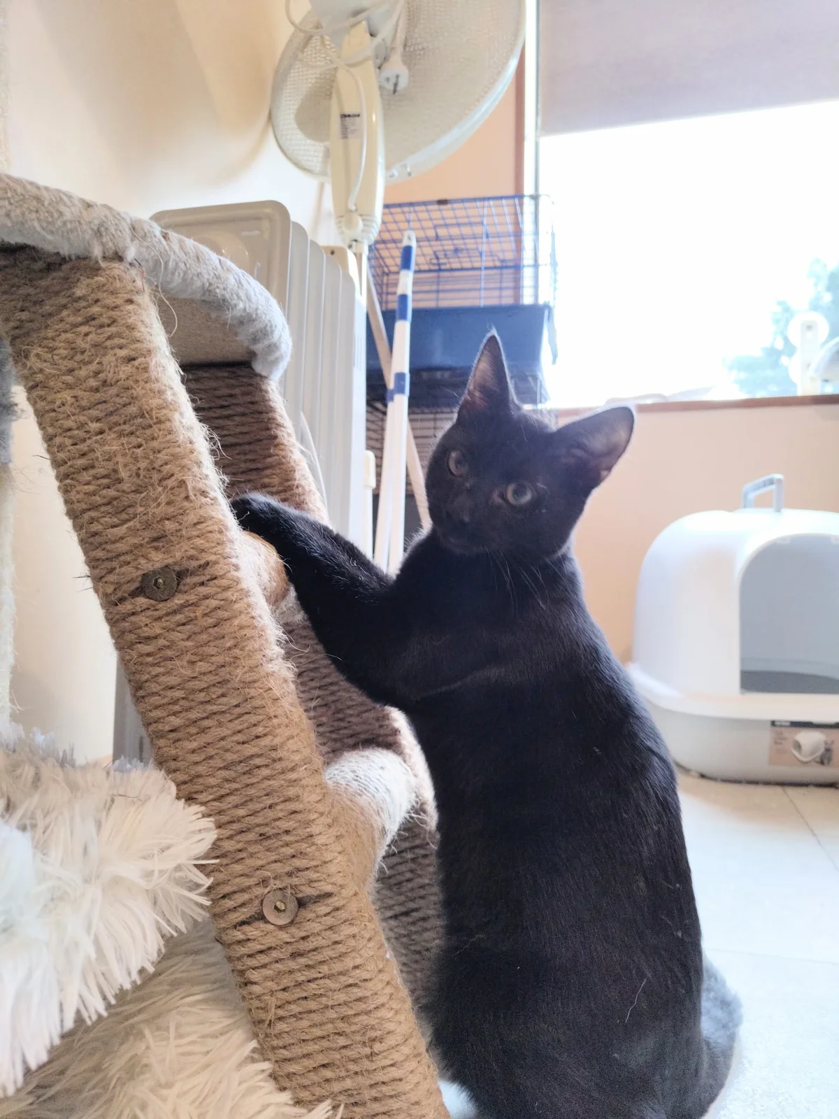 Gallery image: Cambria