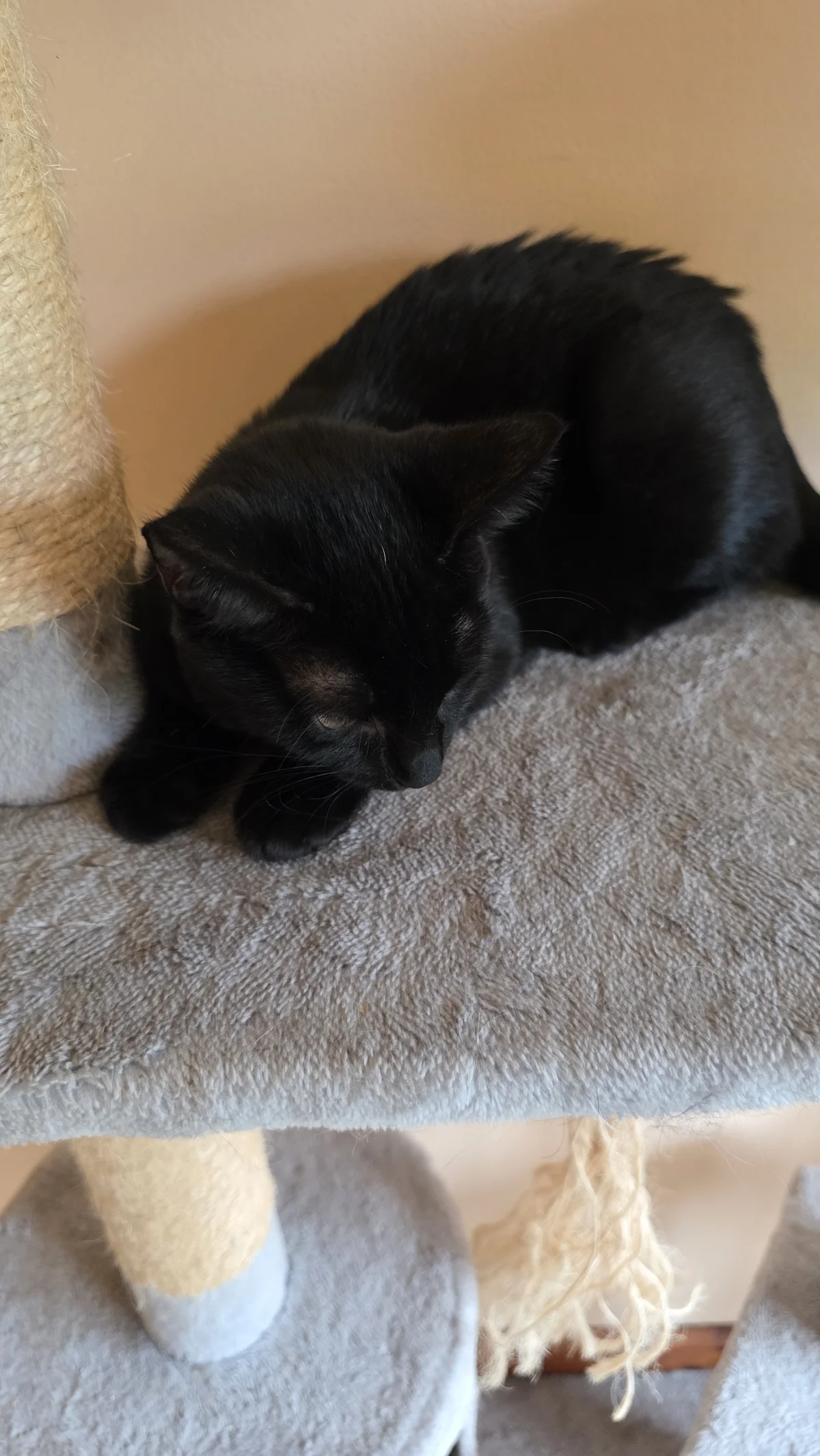 Gallery image: Cambria