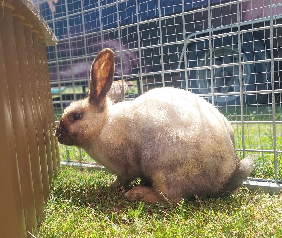 Gallery image: Sophia