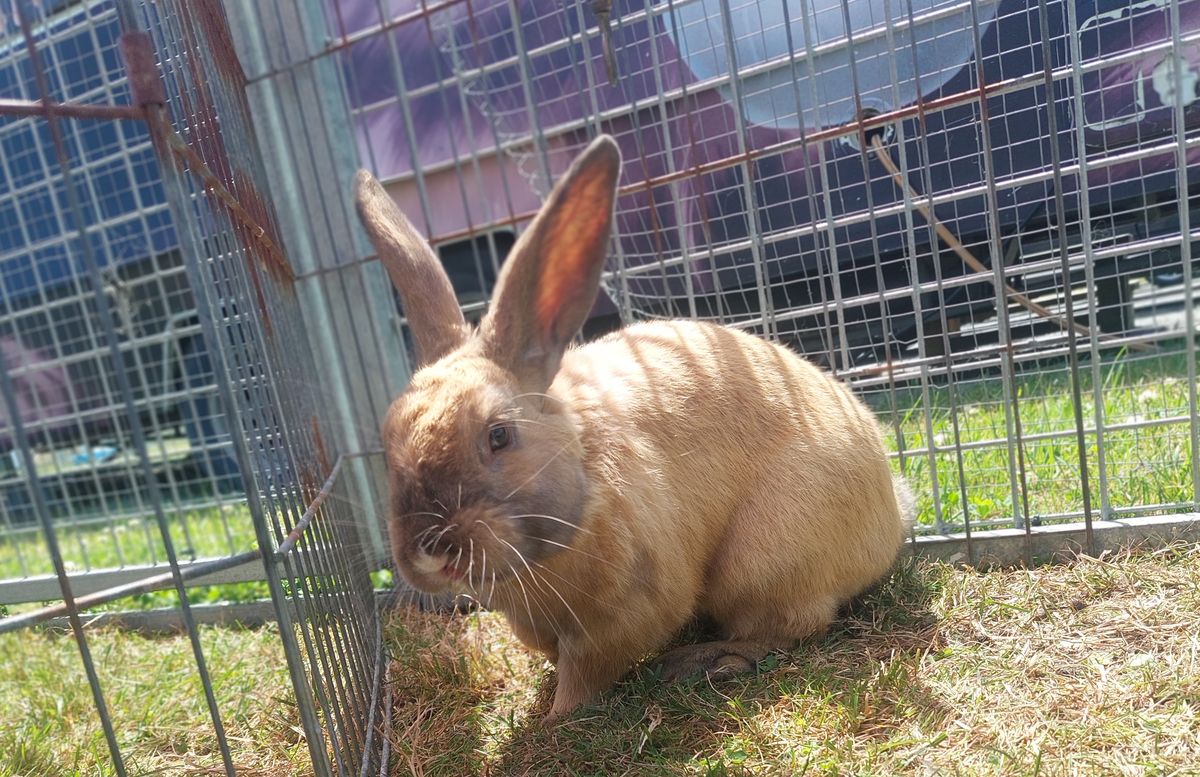 Gallery image: Tucker