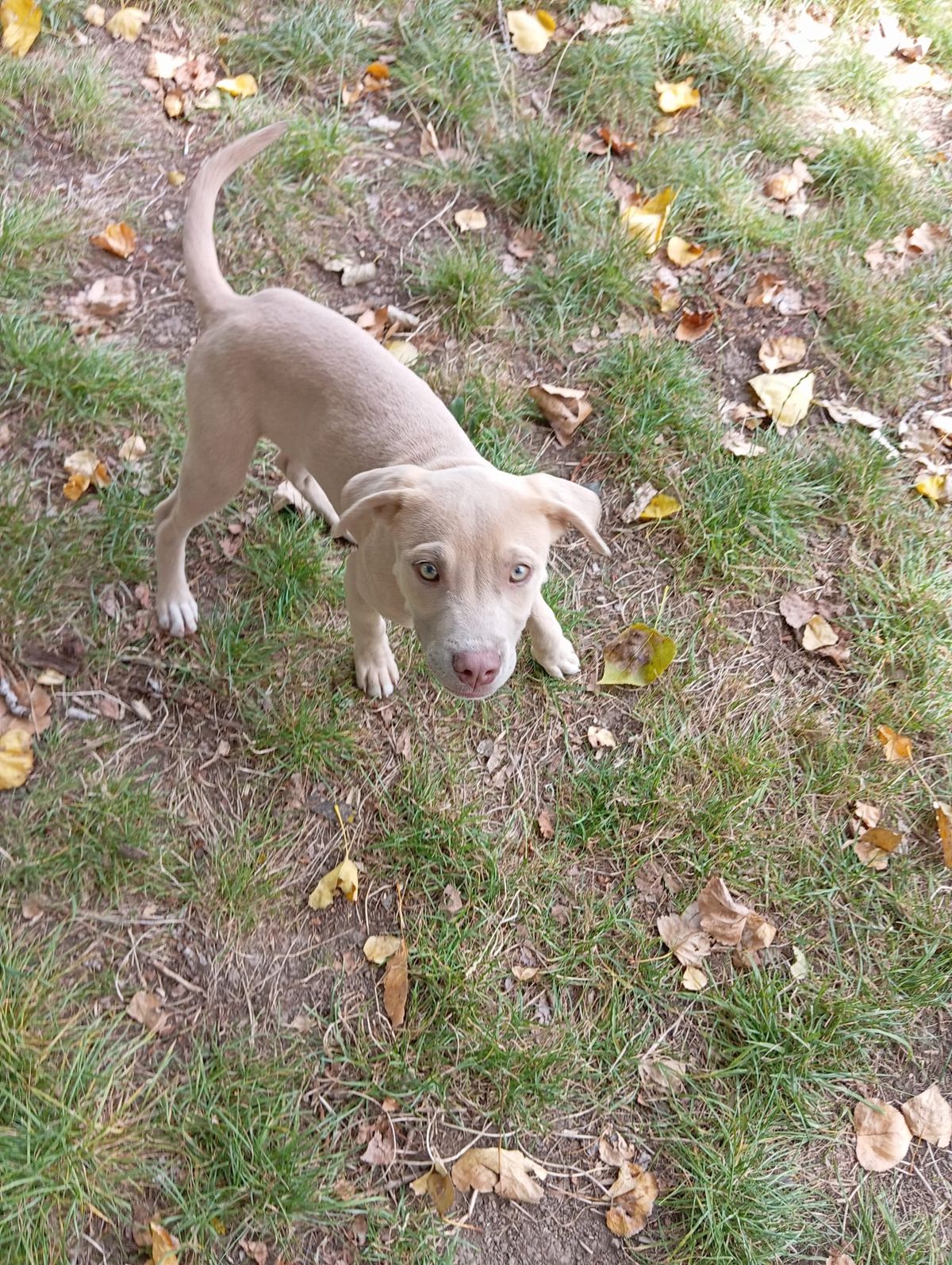 Gallery image: Copernicus