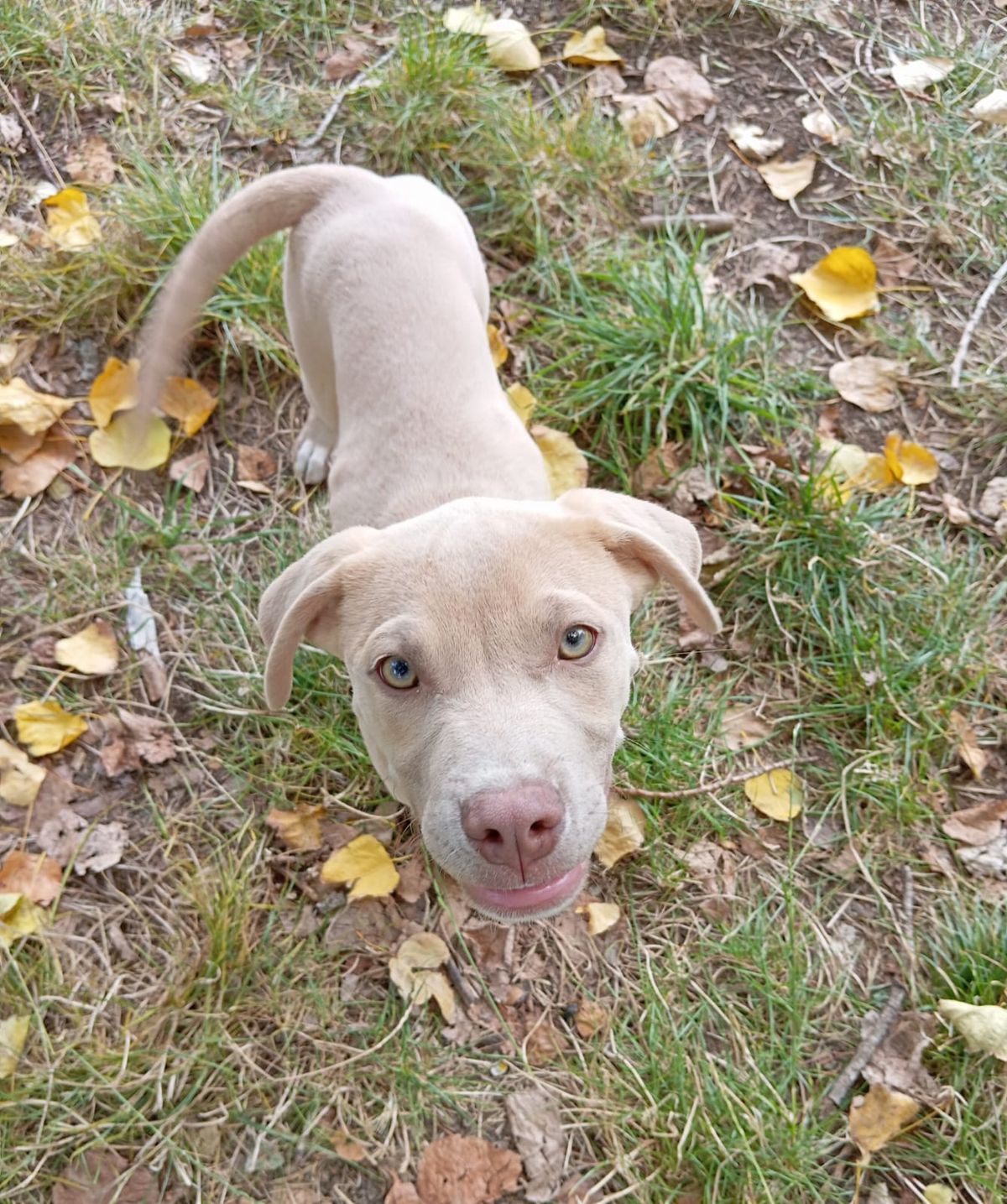 Gallery image: Copernicus