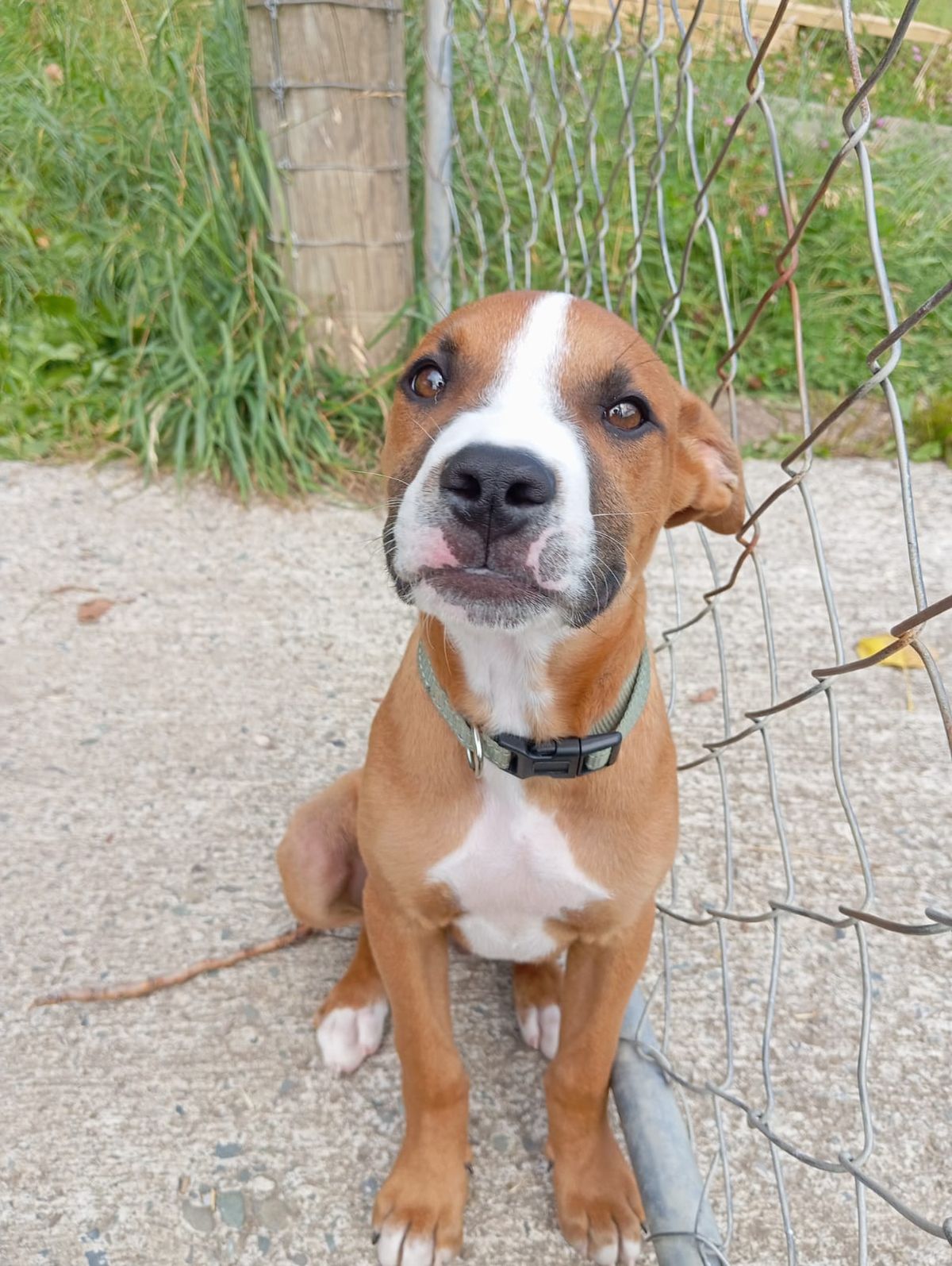 Gallery image: Galileo