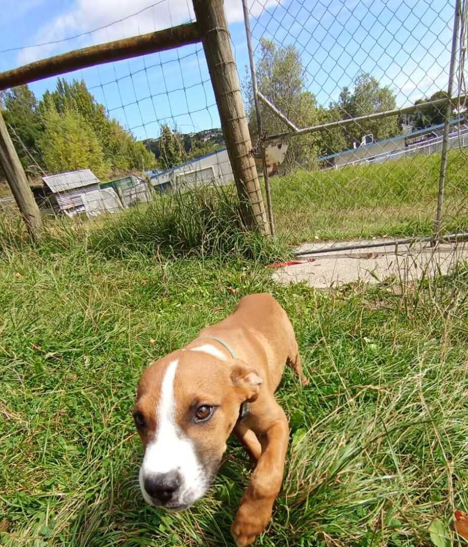 Gallery image: Galileo