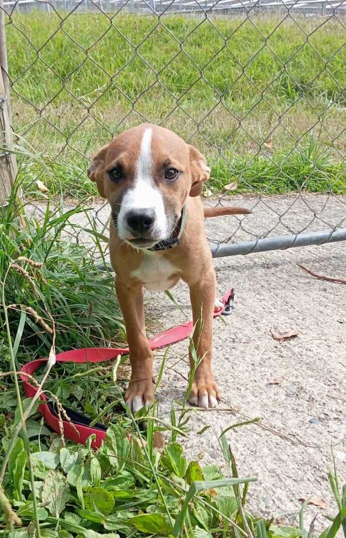 Gallery image: Galileo