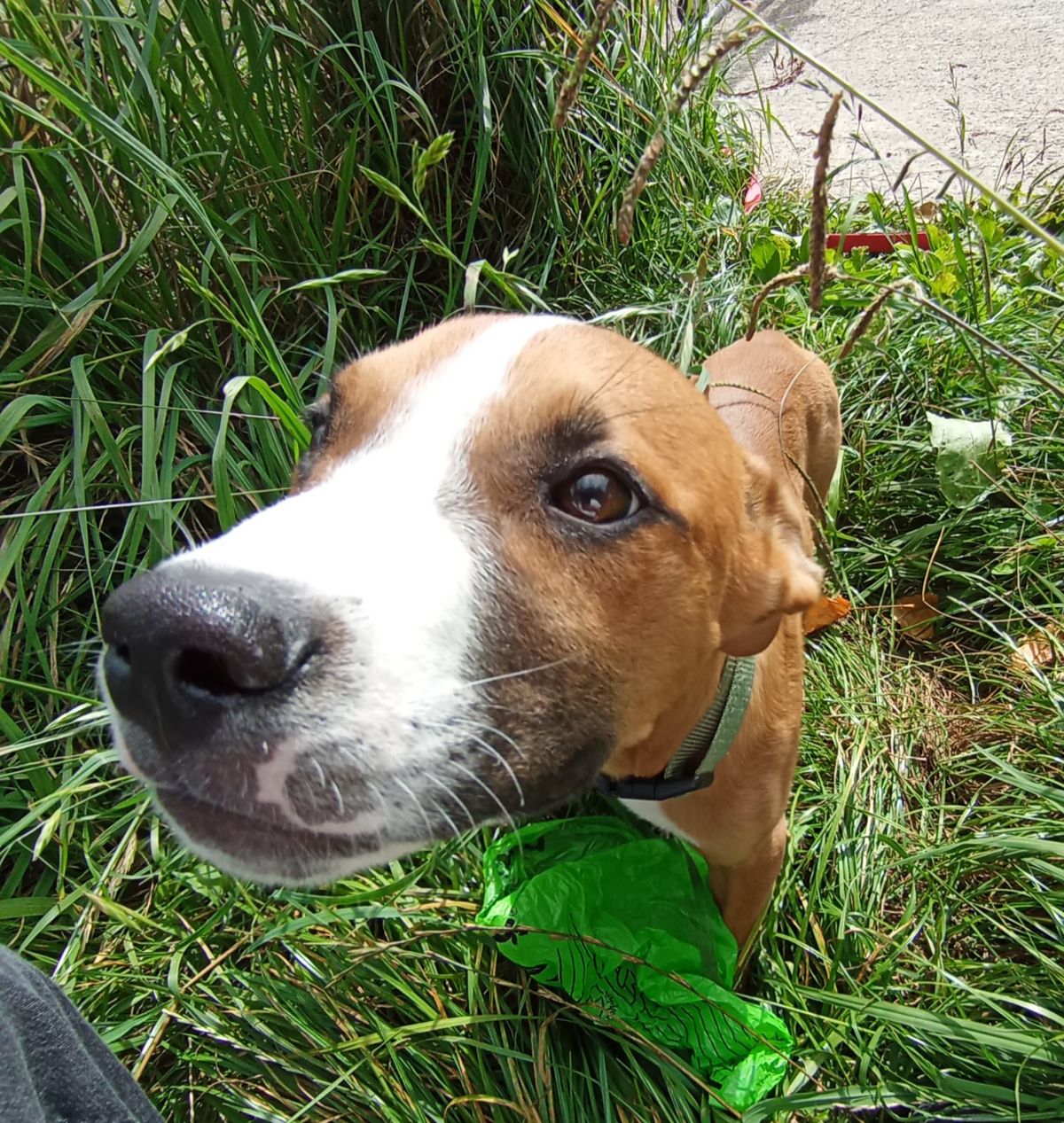 Gallery image: Galileo