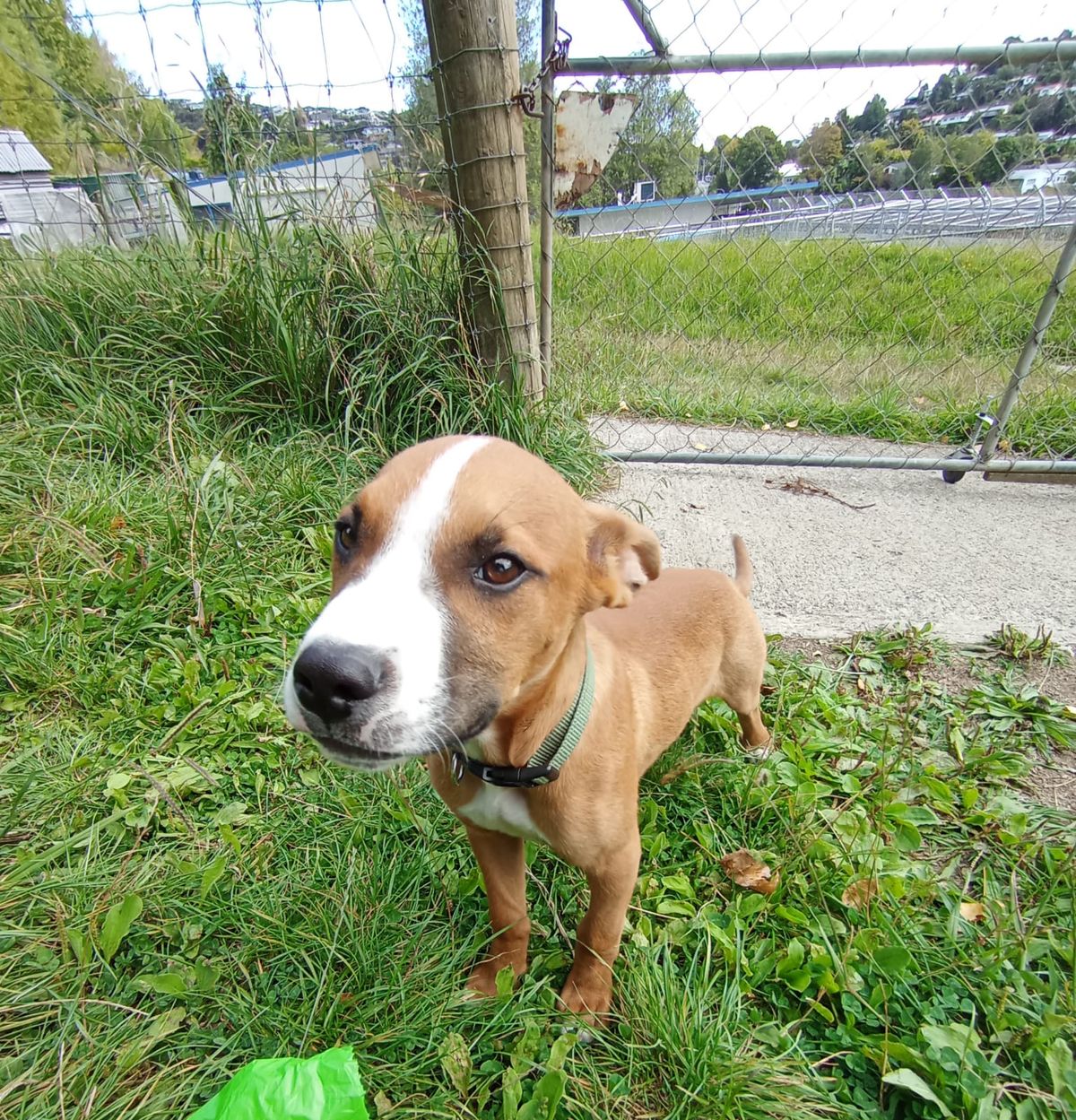 Gallery image: Galileo