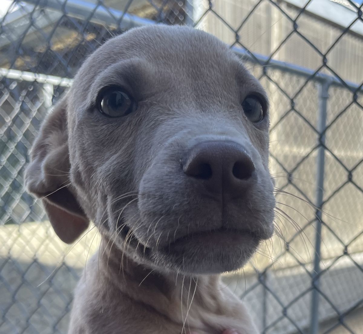 Gallery image: Copernicus