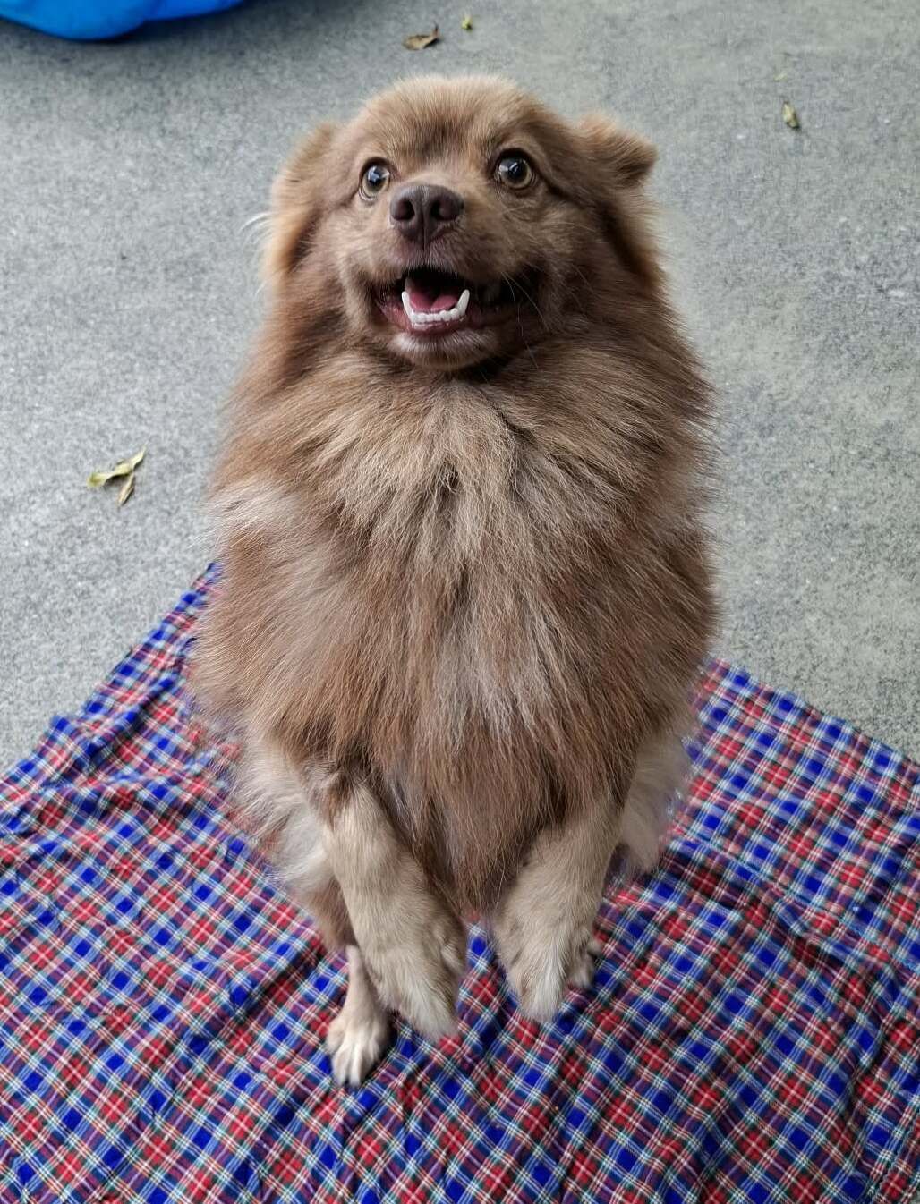 Gallery image: Diego