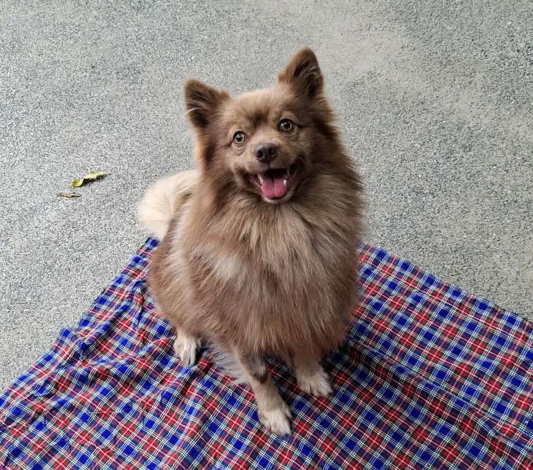 Gallery image: Diego