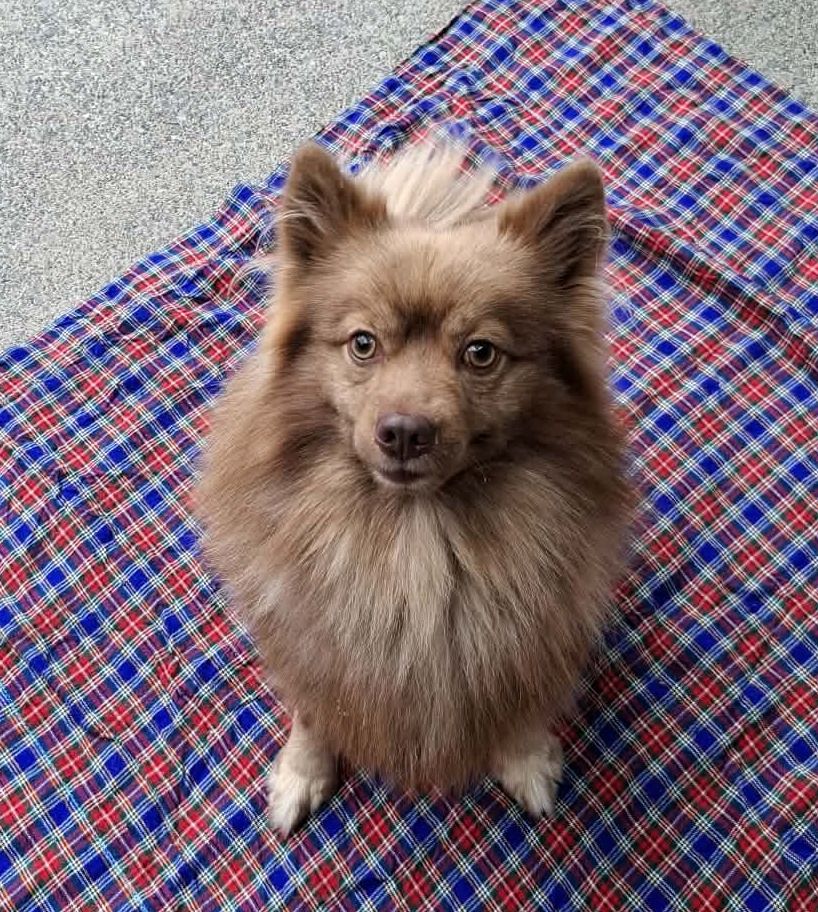 Gallery image: Diego