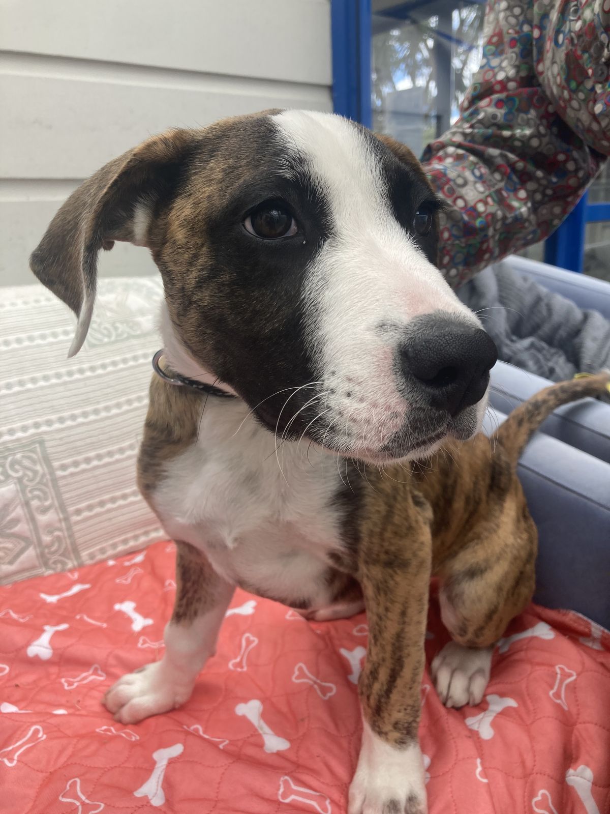 Gallery image: Pacman