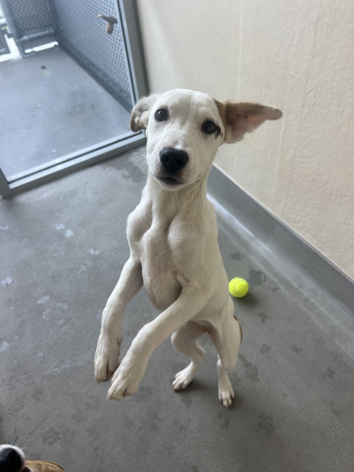 Gallery image: Mecca